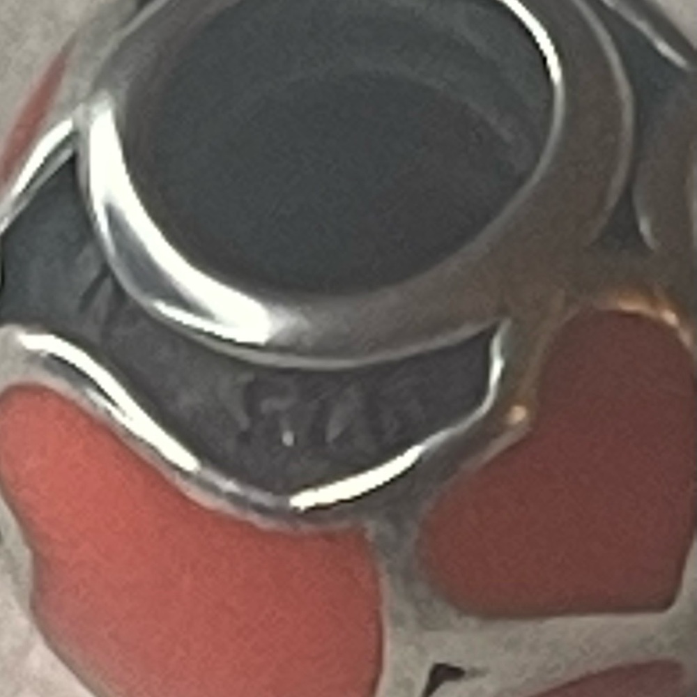 Pandora charm